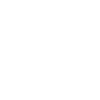 SICUREX
